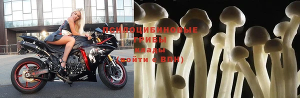 PSILOCYBIN Нязепетровск