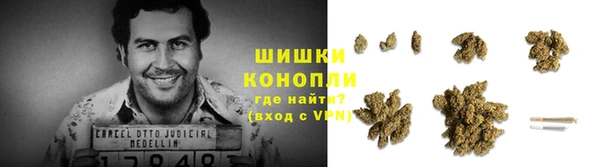 PSILOCYBIN Нязепетровск